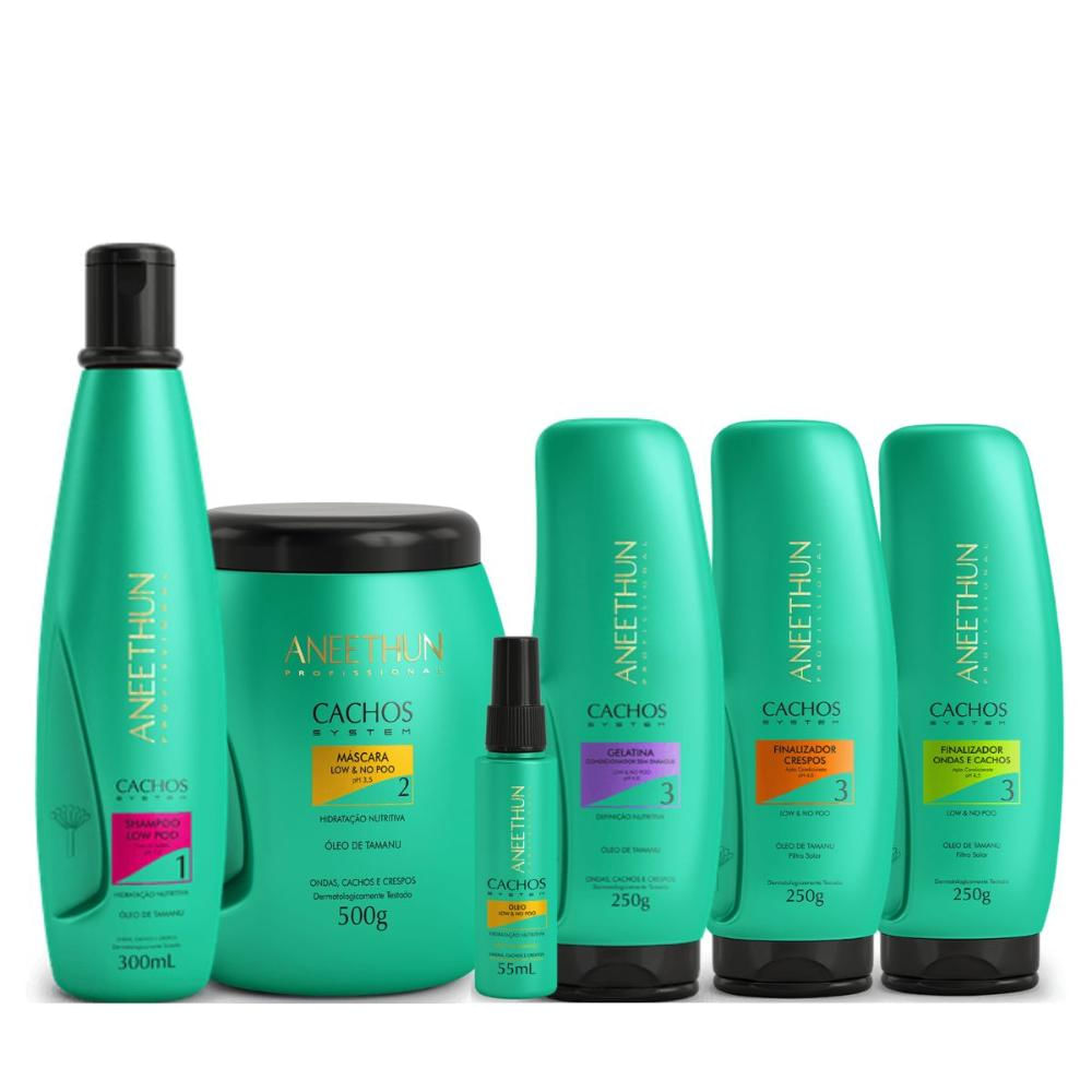 Kit Aneethun Cachos System Tratamento Completo para Proteção e Nutrição