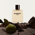 Burberry Hero Masc Edt 50Ml