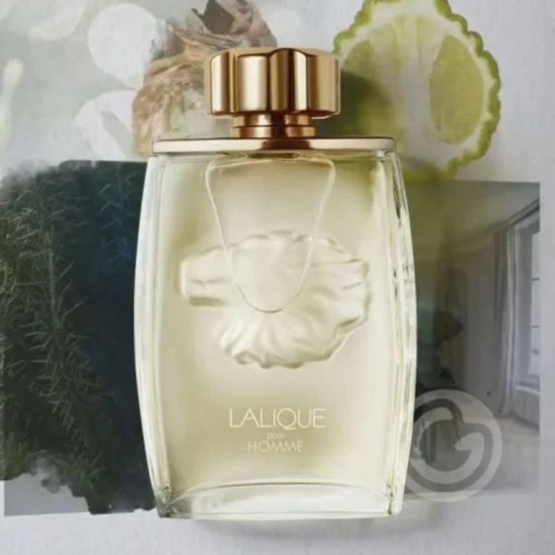Lion Lalique Pour Homme EDP Masculino 125ml - Época Cosméticos