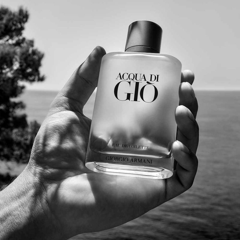 ACQUA DI GIÒ 100ml Eau de Toilette Perfume Giorgio Armani Acqua Di Giò Masculino Eau de Toilette