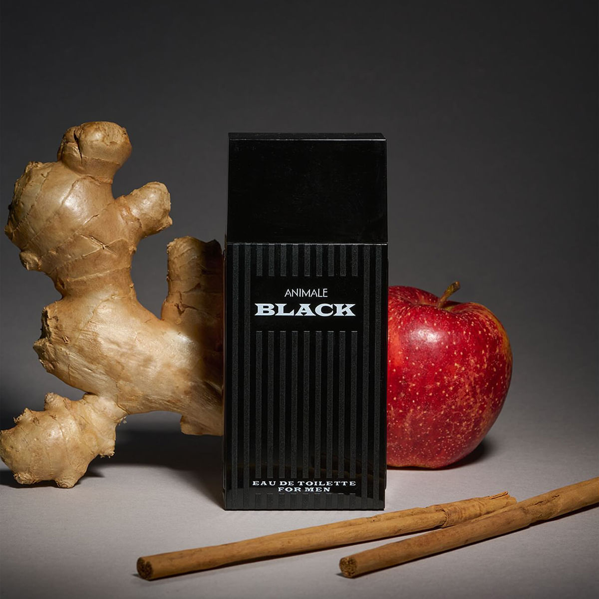 Animale Black for Men Eau de Toilette - Perfume Masculino 100ml