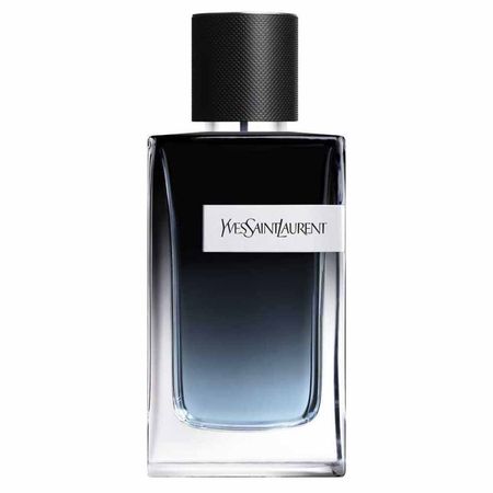 Y Yves Saint Laurent Perfume Masculino - Eau de Parfum 100ml