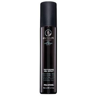 Paul Mitchell Awapuhi Wild Ginger Texturizing Sea Spray - Texturizador - 150ml Menor preço em Paul Mitchell Awapuhi Wild Ginger Texturizing Sea Spray - Texturizador - 150ml