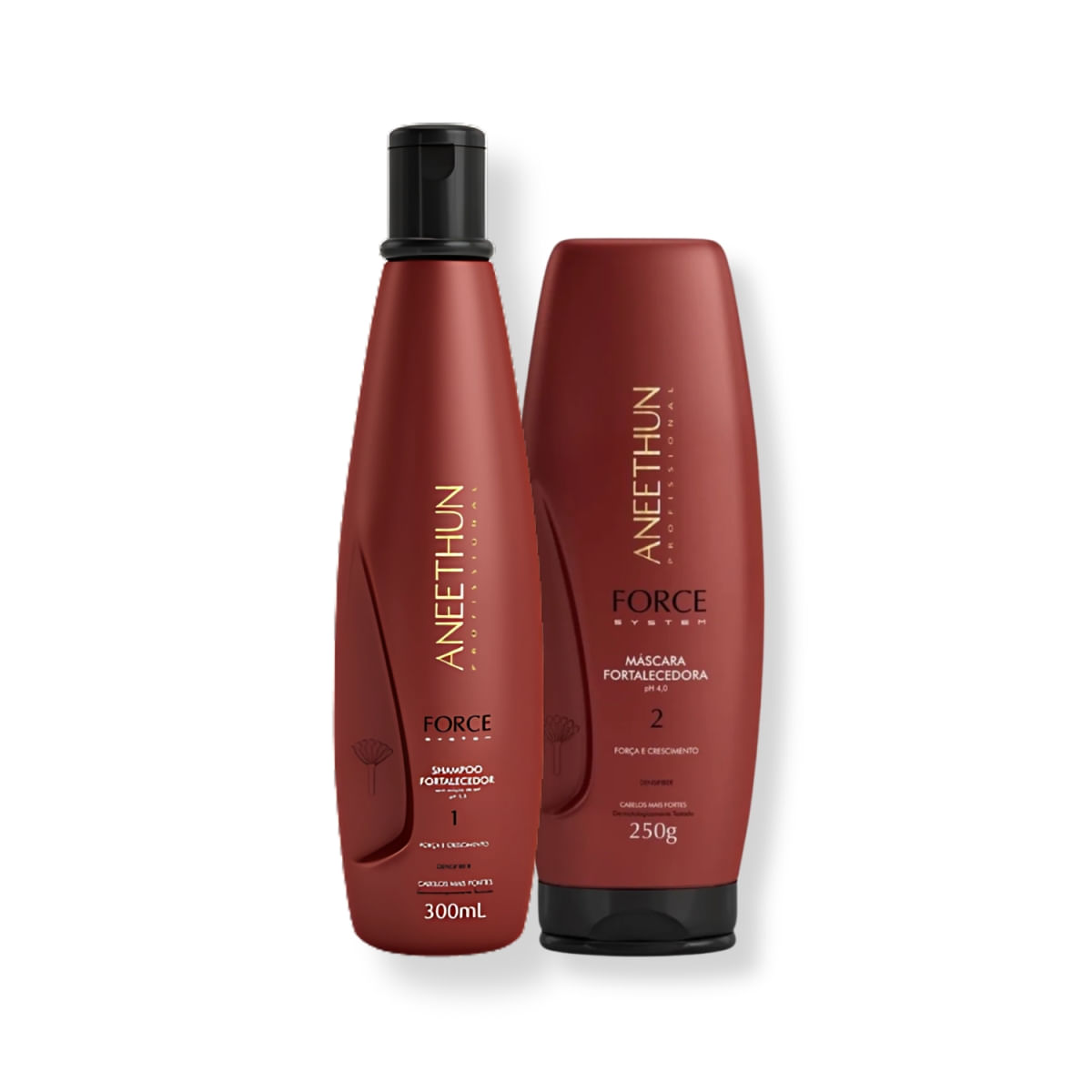 Kit Aneethun Force System - Shampoo 300ml e Máscara Fortalecedora 250g