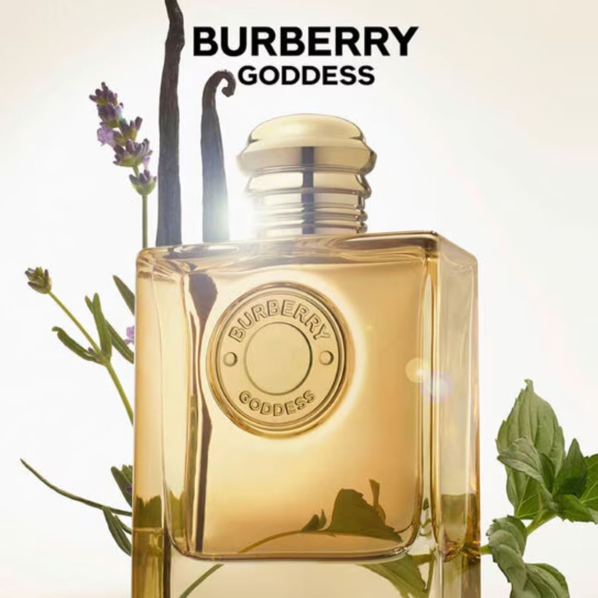 Burberry - Goddess Intense - Feminino - EDP - 50ml - Época Cosméticos