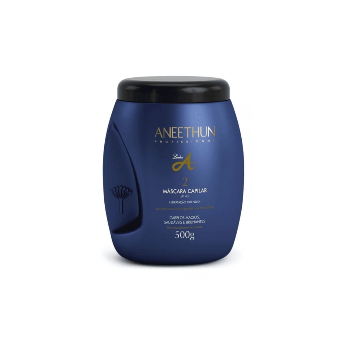 Aneethun Linha A Mascara Capilar Hidrataçao 500 G