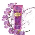 Sexy Girl Phyto Lotion Phytoderm - Hidratante Corporal 200ml