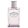 Les Infusions Oeillet Prada Perfume Feminino - Eau de Parfum 100ml