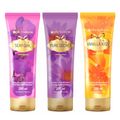 Phytoderm Phyto Lotion Hydra Leve 3 Pague 2 Kit - Hidratante Corporal + Hidratante Corporal + Hidratante Corporal Kit