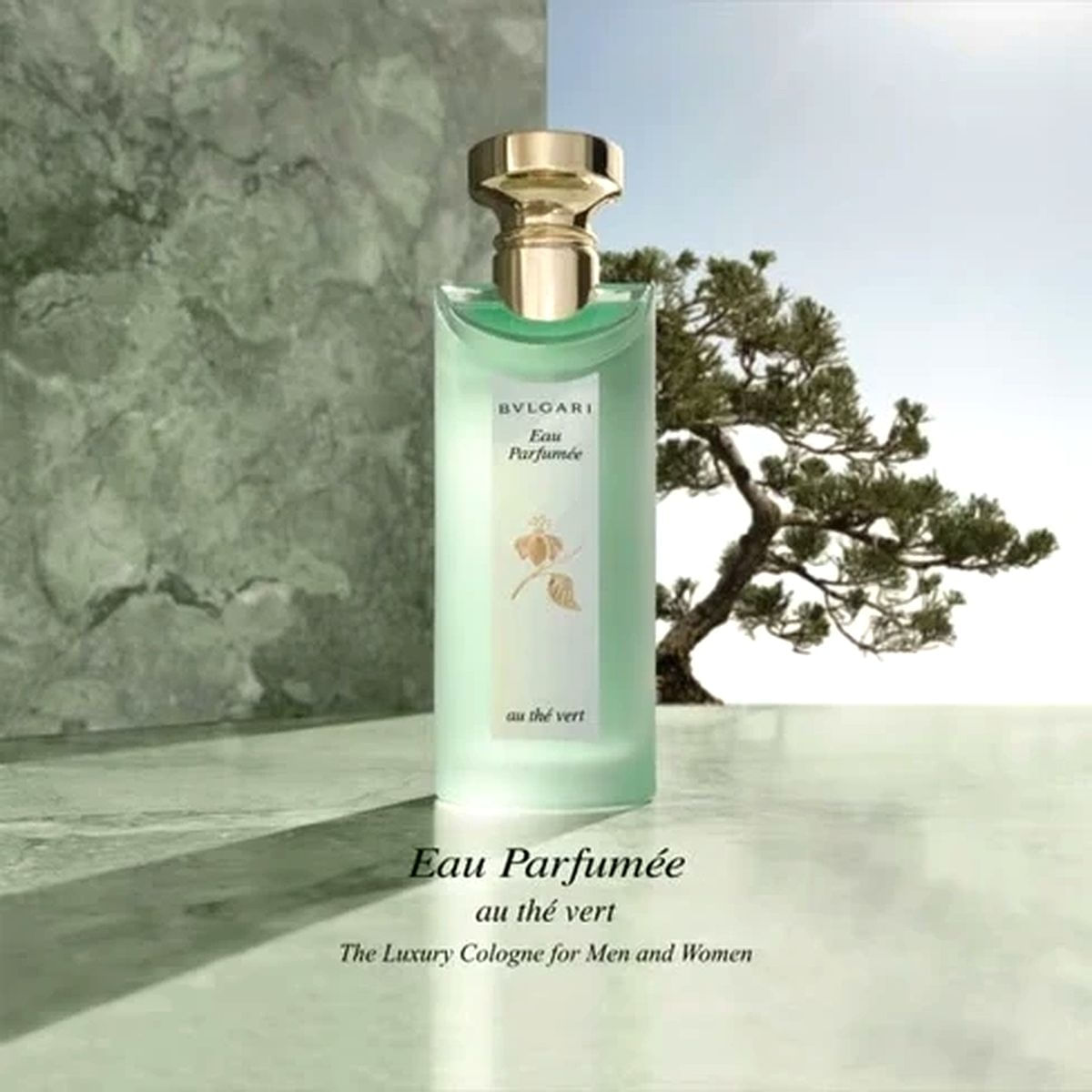 Bvlgari - Eau Parfumée Au Thé Vert - Unissex - Eau De Cologne