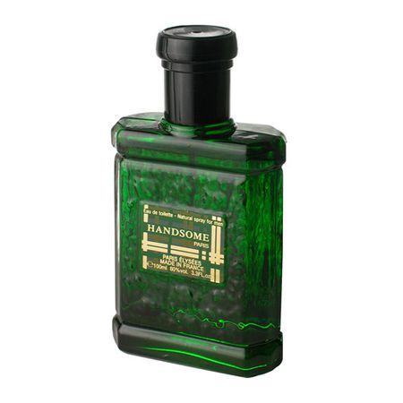 Handsome-Paris-Elysees---Perfume-Masculino---Eau-de-Toilette-100ml--1