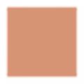 Stay-Matte Sheer Pressed Powder Clinique - Pó Compacto Beige