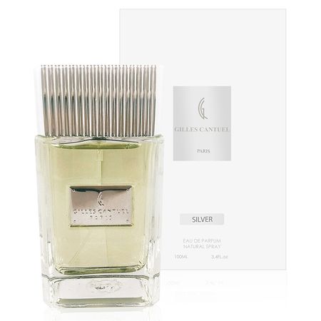 https://epocacosmeticos.vteximg.com.br/arquivos/ids/274778-450-450/silver-gilles-cantuel-perfume-masculino-eau-de-parfum1.jpg?v=636700340895370000