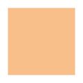 Pó Compacto Matte Clinique - Stay-Matte Sheer Pressed Powder Stay Brulee