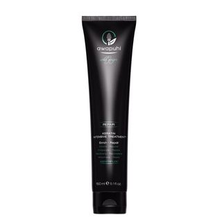 Paul Mitchell Awapuhi Wild Ginger Keratin Intensive Treatment - Máscara Capilar - 150ml Menor preço em Paul Mitchell Awapuhi Wild Ginger Keratin Intensive Treatment - Máscara Capilar - 150ml