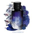 Wild Adventure Linn Young Perfume Masculino - Eau de Toilette 100ml