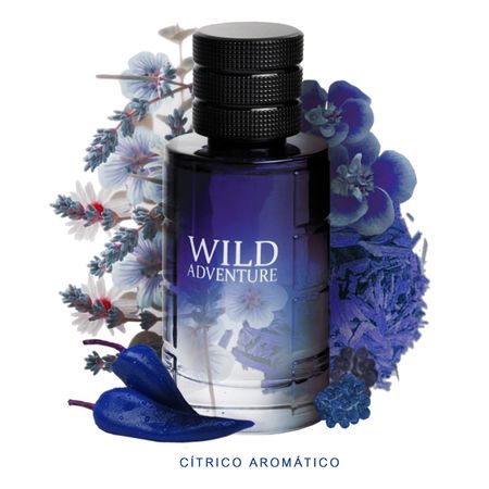 Wild-Adventure-Linn-Young-Perfume-Masculino---Eau-de-Toilette-100ml--2