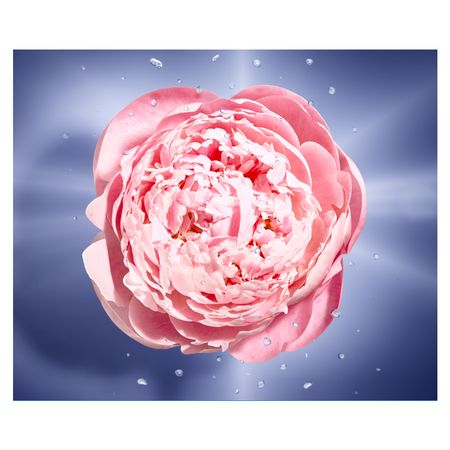 La-Vie-Est-Belle-En-Rose-Lancôme-Perfume-Feminino---Eau-de-Toilette-50ml--3