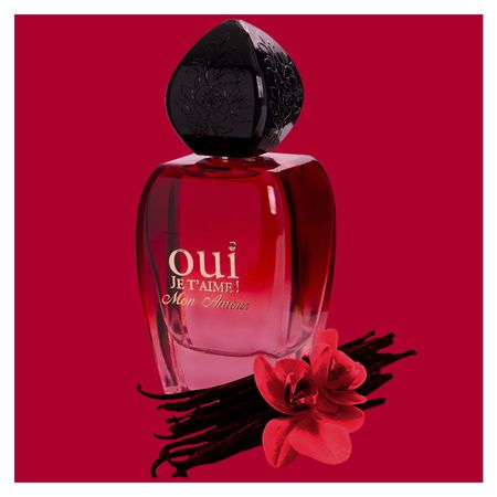 Oui-Je-T’Aime-Mon-Amour-Linn-Young-Perfume-Feminino---Eau-de-Parfum-100ml--3