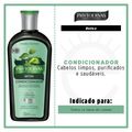 Phytoervas Detox - Condicionador 250ml