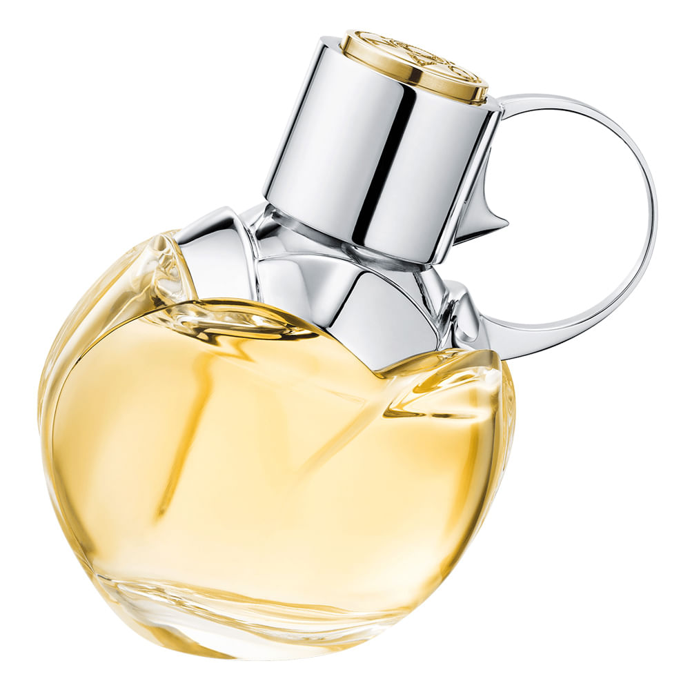 Yves Saint Laurent Libre Women 3 oz EDP Spray  Perfumes de grife, Melhores  perfumes importados femininos, Perfumaria e cosmeticos