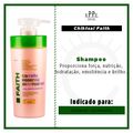 Semi Tratamento N.P.P.E Chihtsai - Camellia Essential 535ml