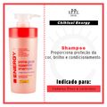 Semi Tratamento N.P.P.E Chihtsai - Energy Pomegranate Essential 535ml