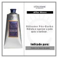 Bálsamo Pós Barba L'Occitane en Provence L'Occitan 75ml