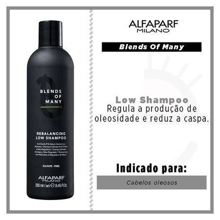 Alfaparf-Milano-Blends-of-Many-Rebalancing-Low---Shampoo-250ml--2