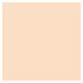 Pó Solto Shiseido Synchro Skin Invisible Silk Loose Powder Radiant Translucido