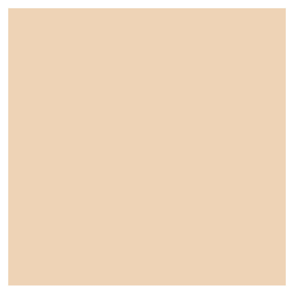 Corretivo Líquido Shiseido Synchro Skin Self-Refreshing Concealer