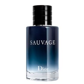 Imagem de Perfume Sauvage Dior 60ml