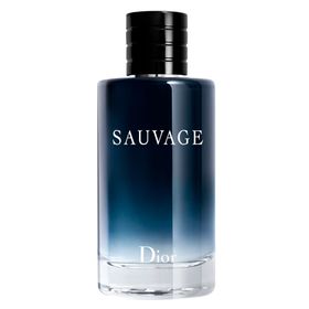 sauvage-eau-de-toilette-dior-perfume-masculino-200ml
