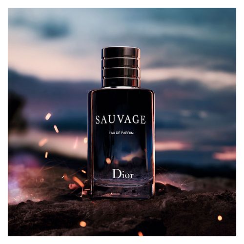 Produtos da categoria Dior Sauvage Mens Perfumes à venda no Londres   Facebook Marketplace  Facebook