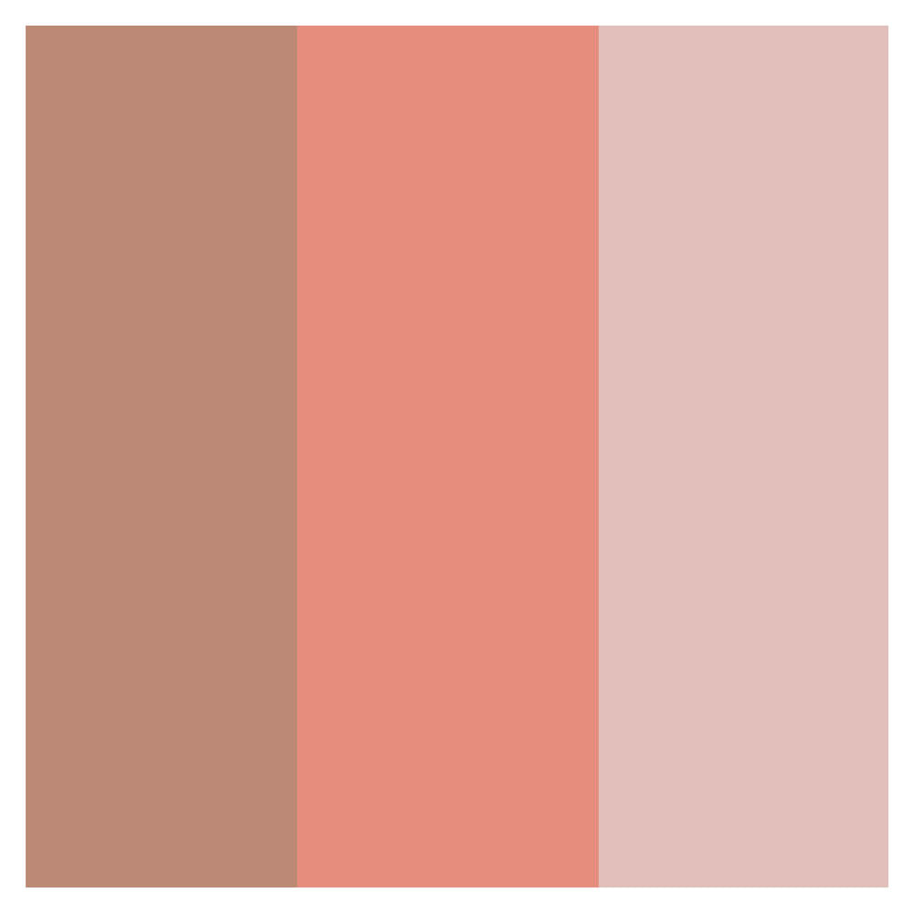 Paleta BFF Vizzela Cor