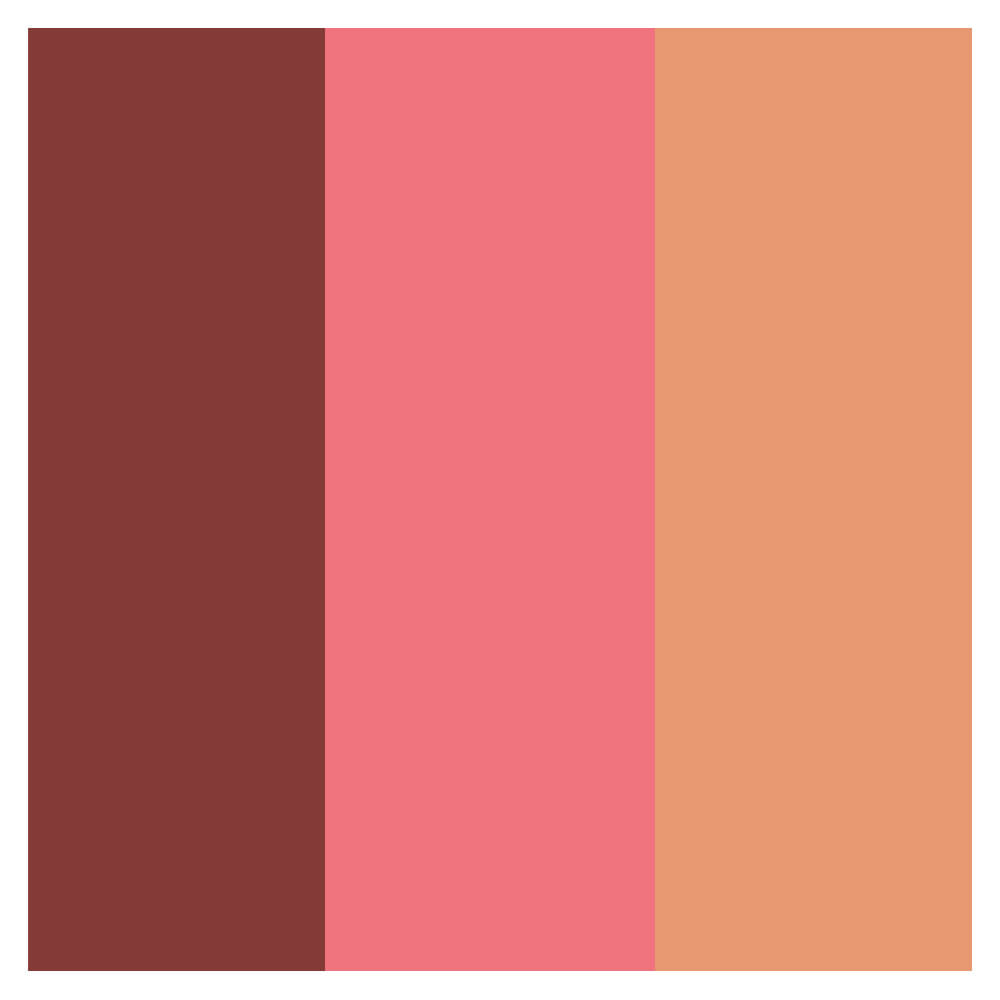 Paleta BFF Vizzela Cor