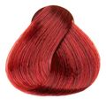 Coloração Felps Color - Tons Louro Escuro 6.66 Louro Escuro Vermelho Intenso