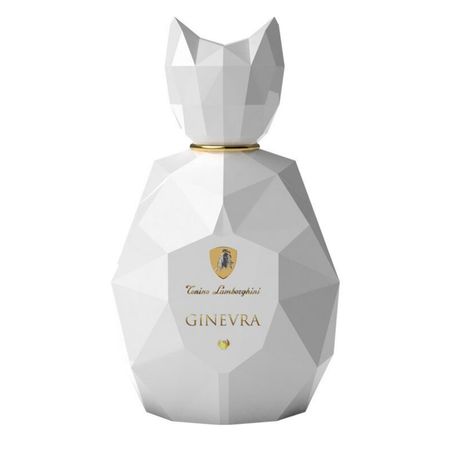 https://epocacosmeticos.vteximg.com.br/arquivos/ids/454331-450-450/ginevra-white-tonino-lamborghini-perfume-feminino-eau-de-parfum--1-.jpg?v=637677493186000000