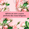 Máscara de Tratamento Love Beauty And Planet Curls Intensify Manteiga de Murumuru e Rosa 190g