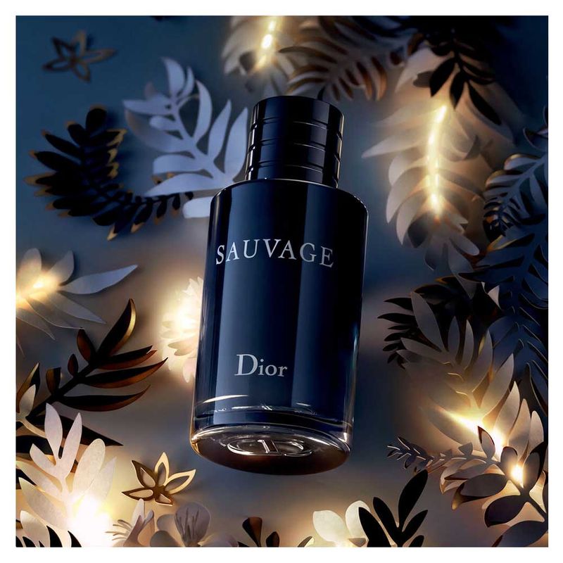 DIOR ESSENCE OF LIGHT セット DIOR】 新作/限定 ルージュ ディオール クチュール セット コフレ