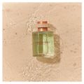 Mediterráneo Banderas - Perfume Masculino - Eau de Toilette 100ml