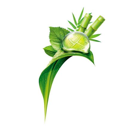 Dove-Poder-das-Plantas-Força-+-Bambu-Shampoo-300ml--3