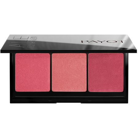Paleta-de-Blushes-Ale-de-Souza-by-Payot-1Un--1