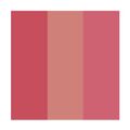 Paleta de Blushes Ale de Souza by Payot 1Un