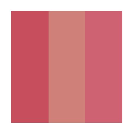 Paleta-de-Blushes-Ale-de-Souza-by-Payot-1Un--2