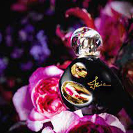 https://epocacosmeticos.vteximg.com.br/arquivos/ids/480873-450-450/izia-la-nuit-sisley-perfume-feminino-eau-de-parfum--10-.jpg?v=637834921985630000