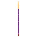 Delineador Labial MAC Magnificent Moon Lip Liners Spice