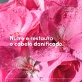 Dove Poder das Plantas Nutrição + Gerânio Shampoo 300ml