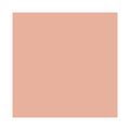 Corretivo 2 em 1 Shiseido Tinted Spot Treatament Subtle Peach