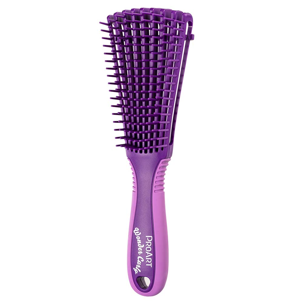 Escova Polvo ProArt Wonder Curly